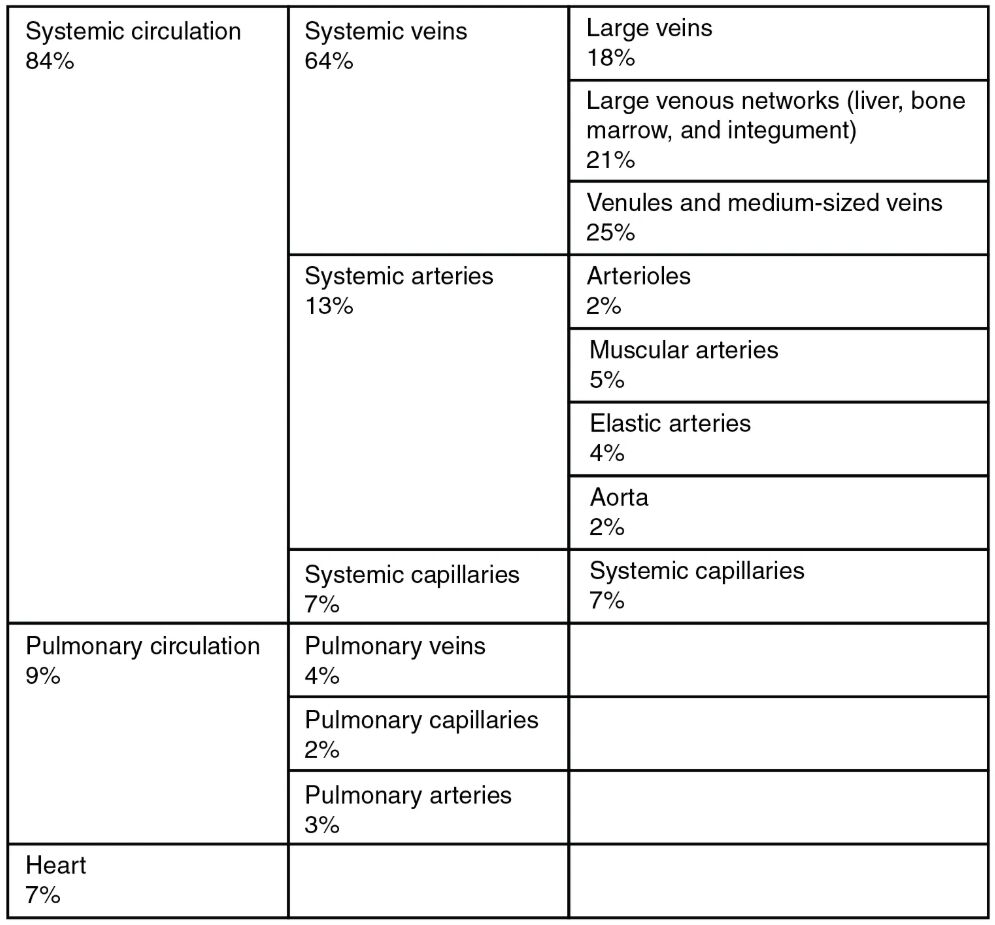 Comprehensive Guide to Blood Flow Distribution in the Human Body