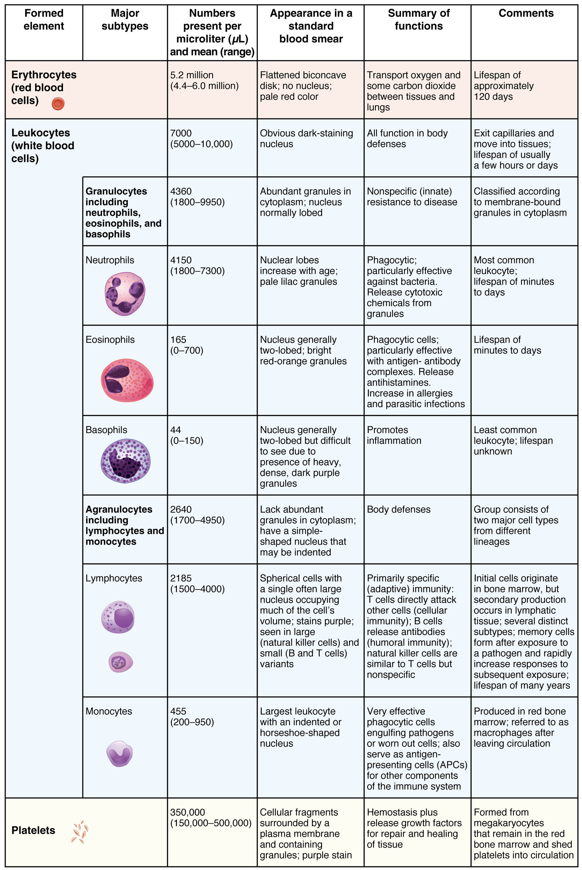 Understanding Formed Elements in Blood: A Comprehensive Chart Guide