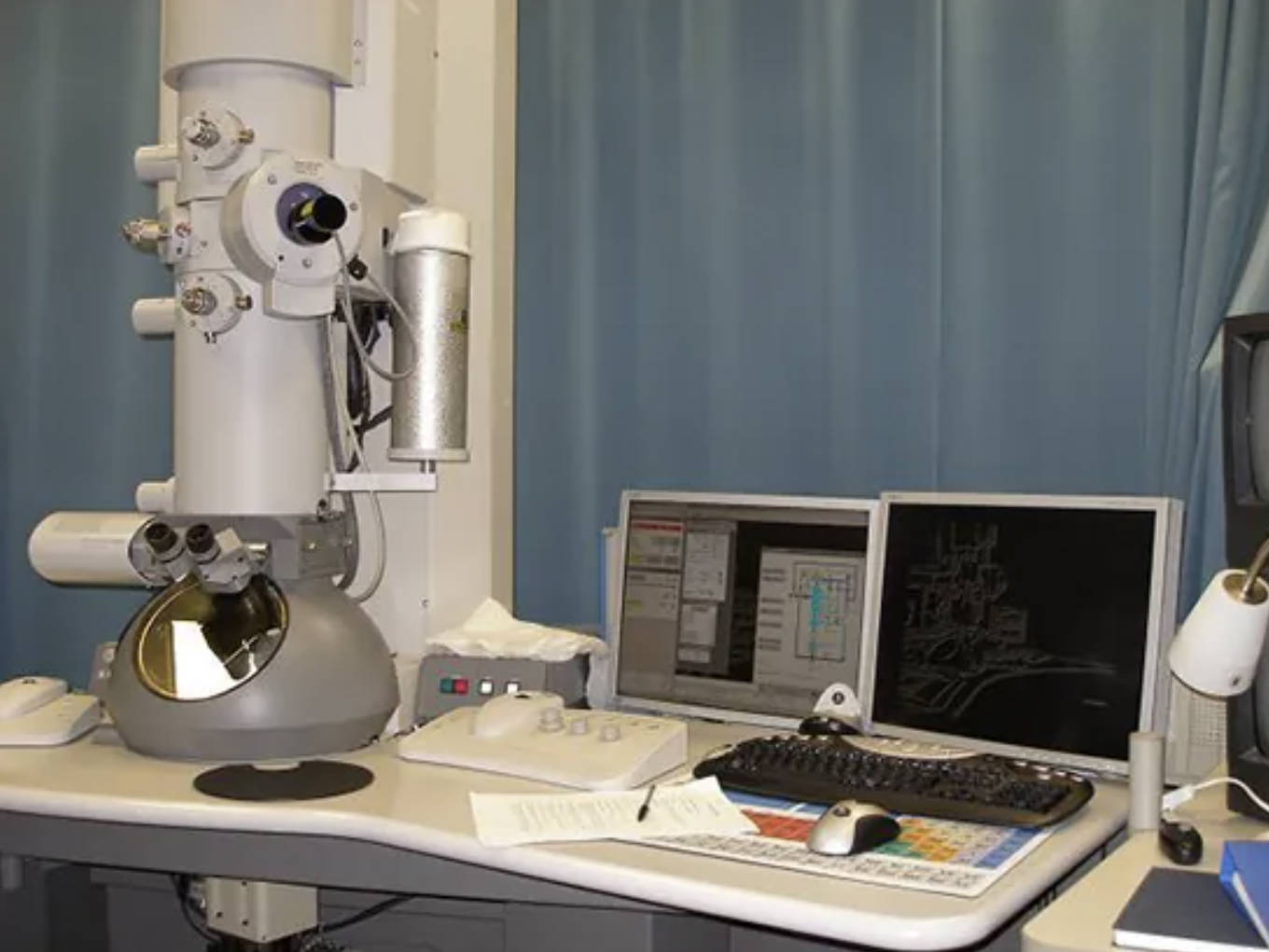 Transmission Electron Microscopy: Visualizing Cellular Ultrastructure for Medical Diagnosis