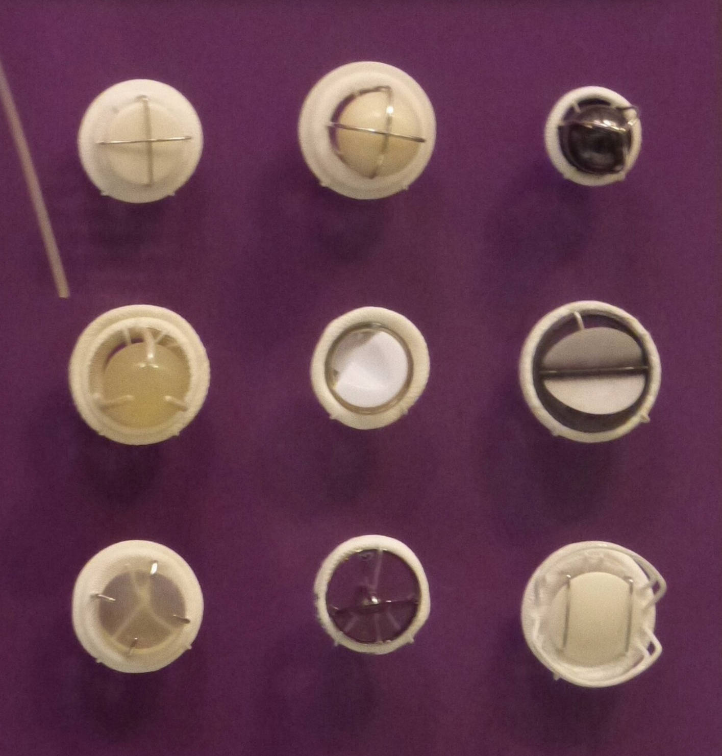 The Evolution and Anatomy of Mechanical Heart Valves: A Comprehensive Guide