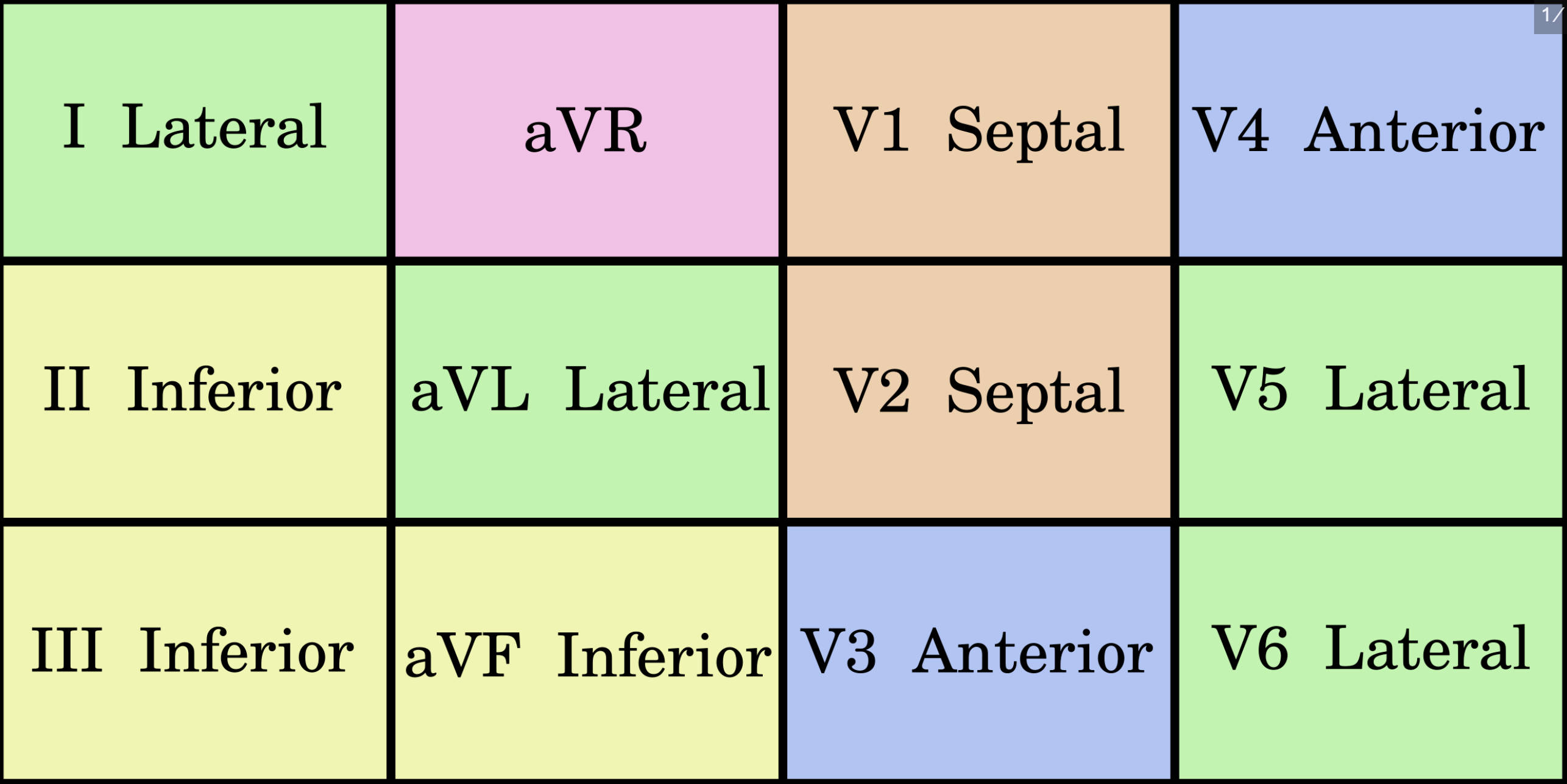The 12-Lead Electrocardiogram: Anatomical Grouping and Diagnostic Significance