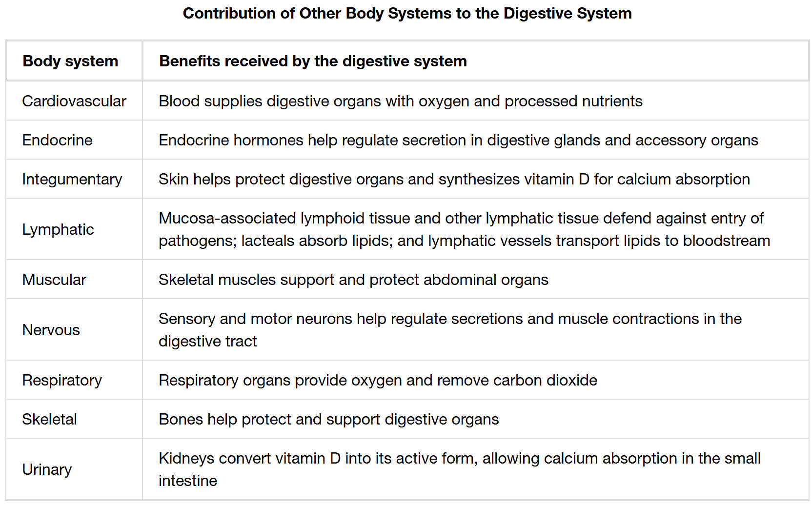 The Interconnectedness of Digestion: How Body Systems Support Your Gut Health