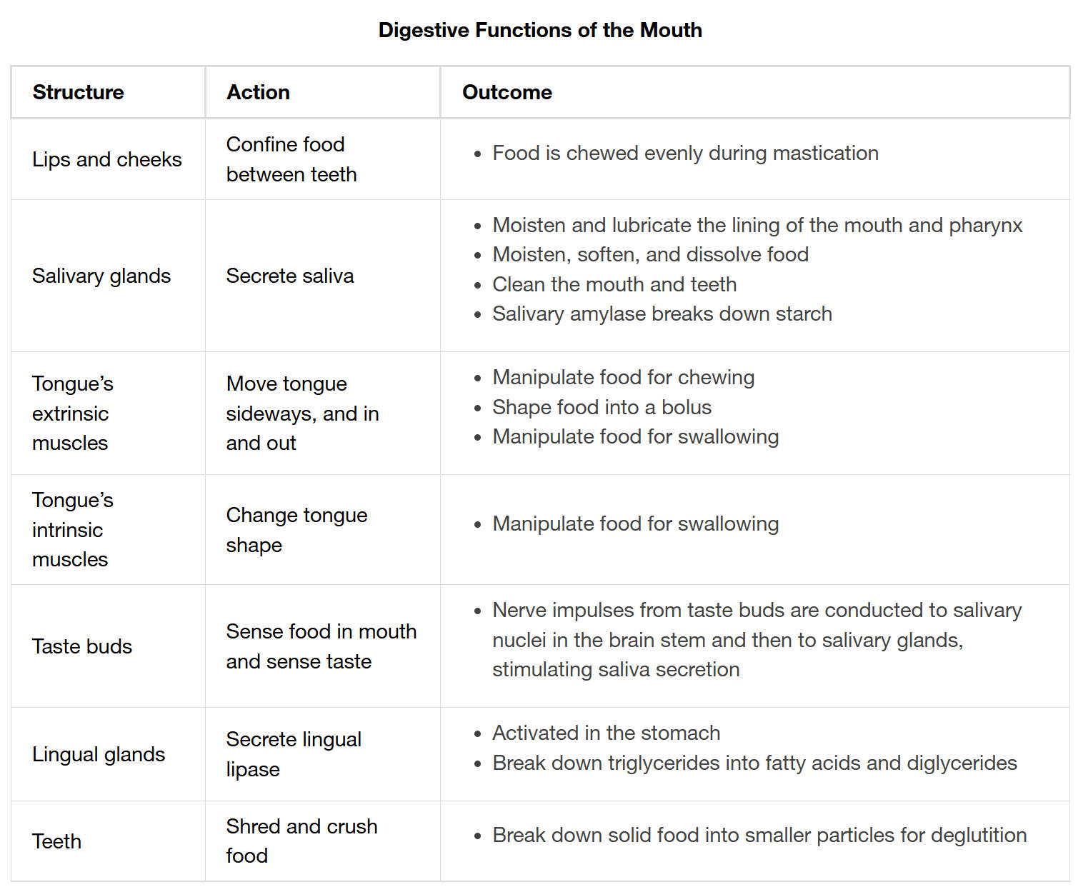 The Mouth’s Role in Digestion: A Comprehensive Functional Overview