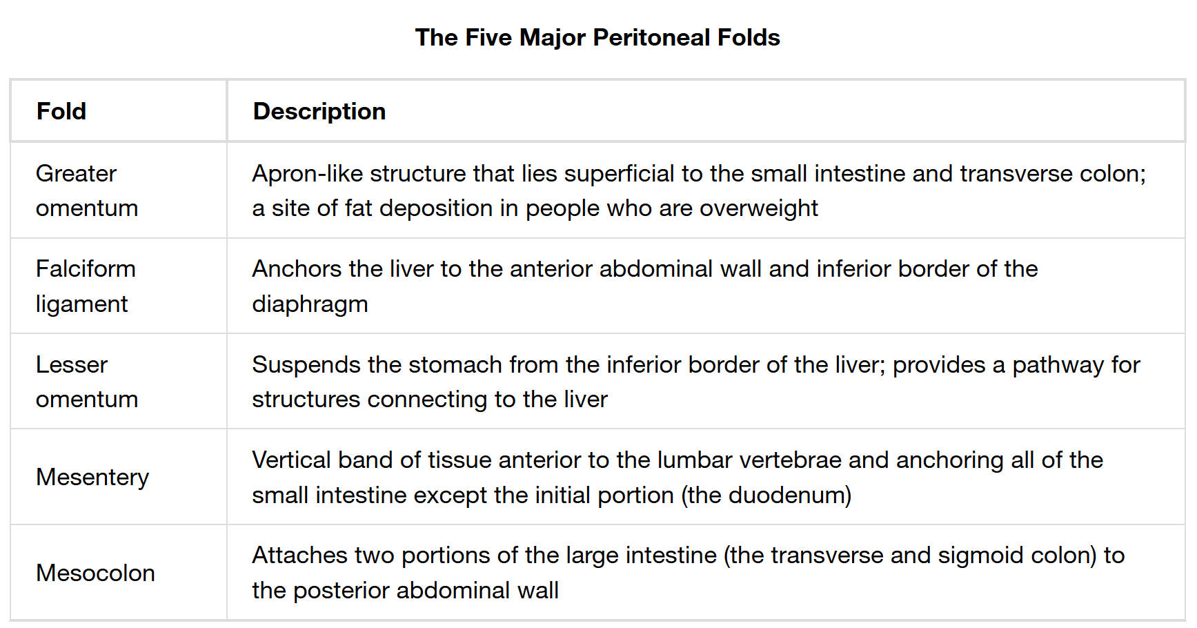 Understanding the Peritoneal Folds: Anchoring and Organizing Abdominal Organs