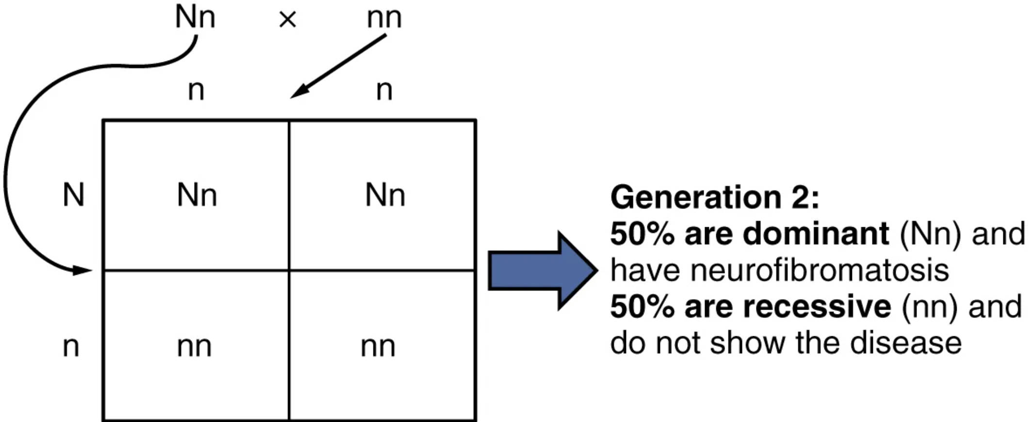 Autosomal Dominant Inheritance: Understanding Neurofibromatosis Transmission