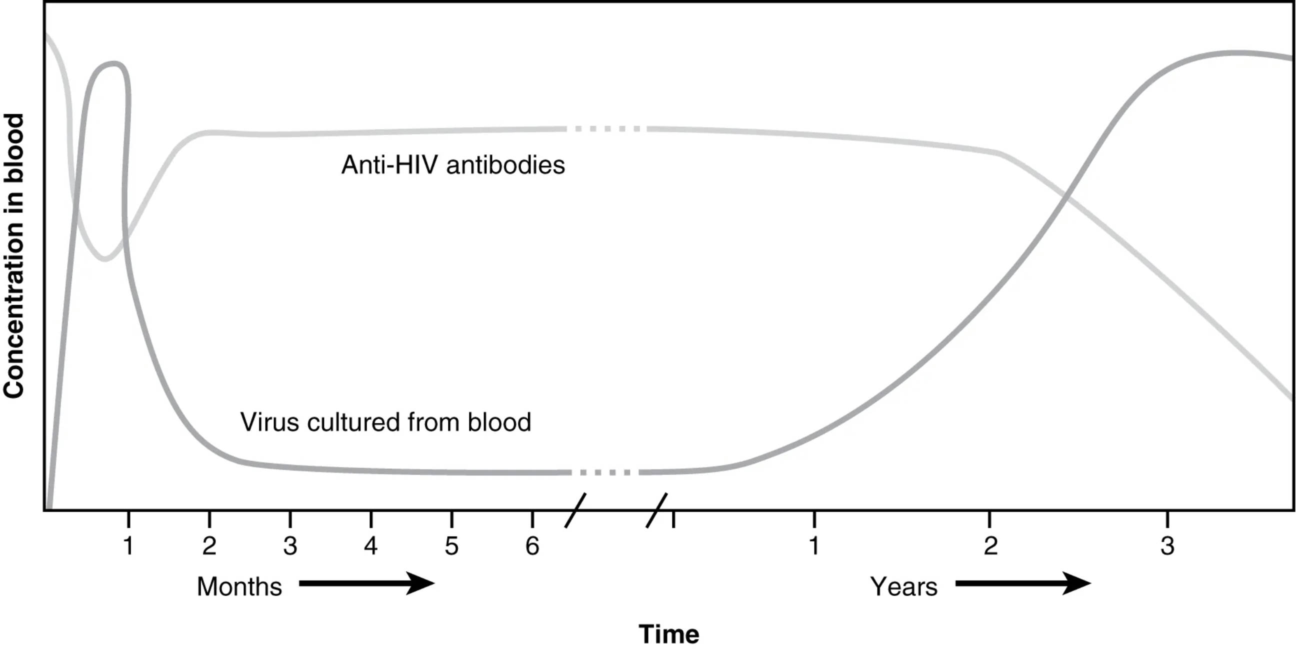 HIV Disease Progression: Understanding Antibody and Virus Dynamics