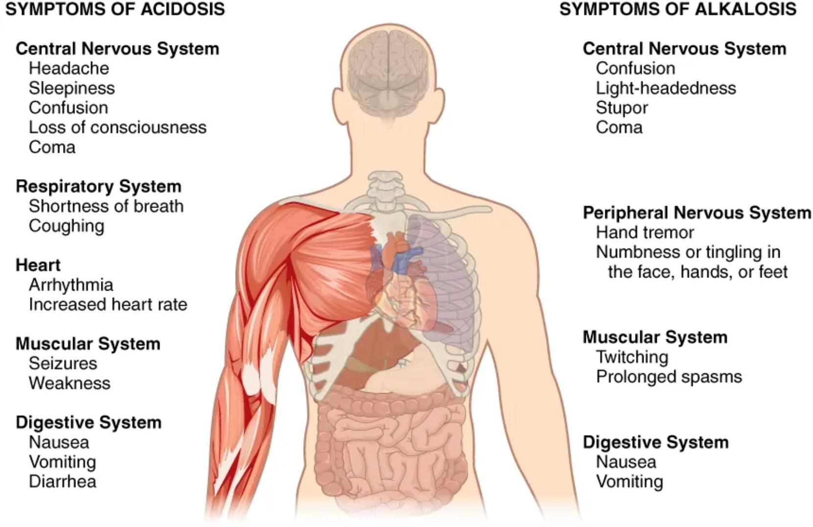 Recognizing the Systemic Impact: Symptoms of Acidosis and Alkalosis
