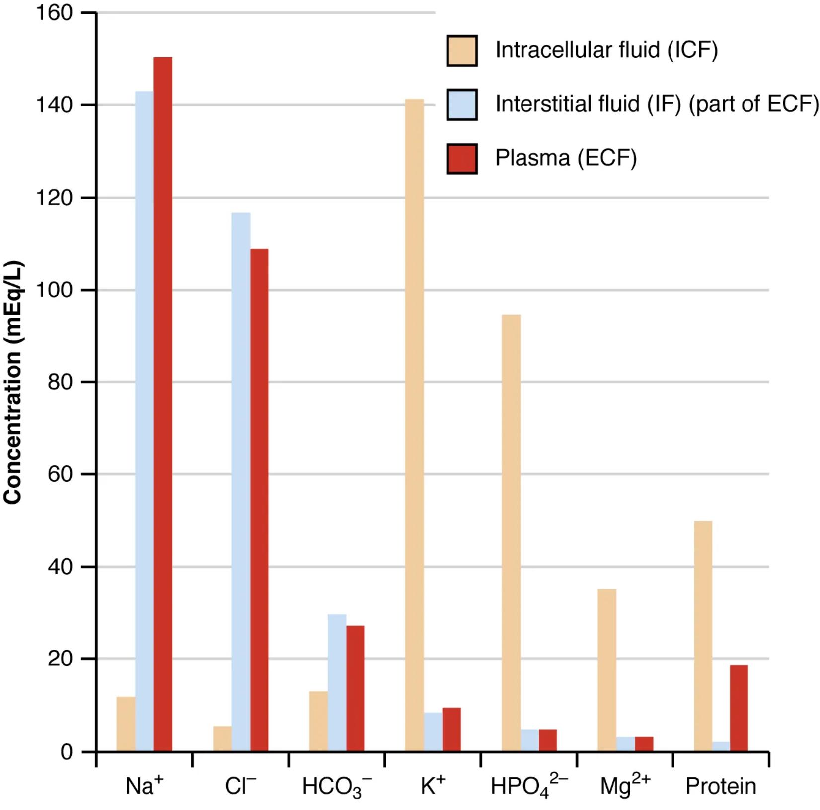 Electrolyte and Protein Concentrations Across Body Fluid Compartments