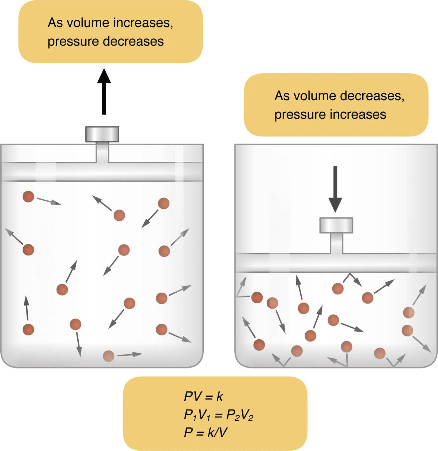 Understanding Boyle’s Law: Pressure and Volume in Respiration