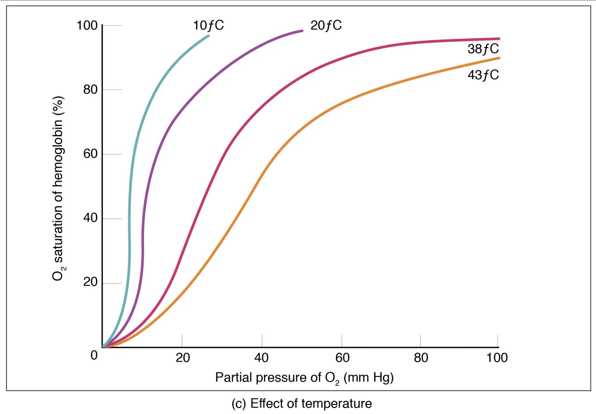 Temperature’s Impact on Oxygen Delivery: The Oxygen-Hemoglobin Curve